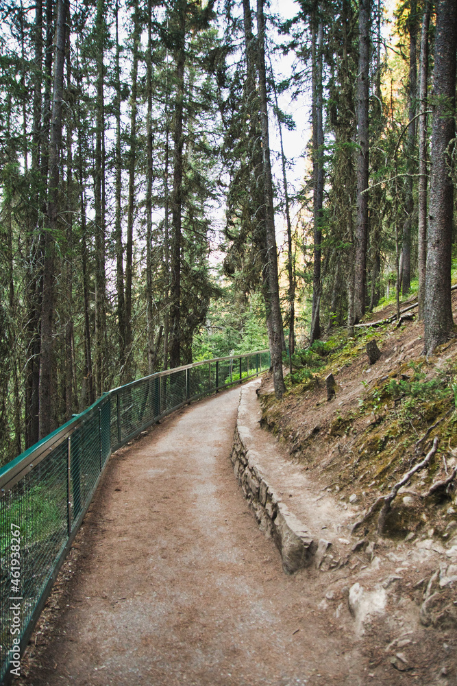 The trail of Johnston Canyon. Banff National Park, Alberta, Canada
The trail of Johnston Canyon. Banff National Park, Alberta, Canada