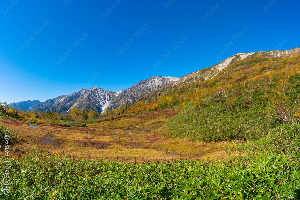Fototapeta premium 雄大な紅葉時期の白馬三山