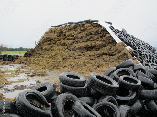 silage pit photo