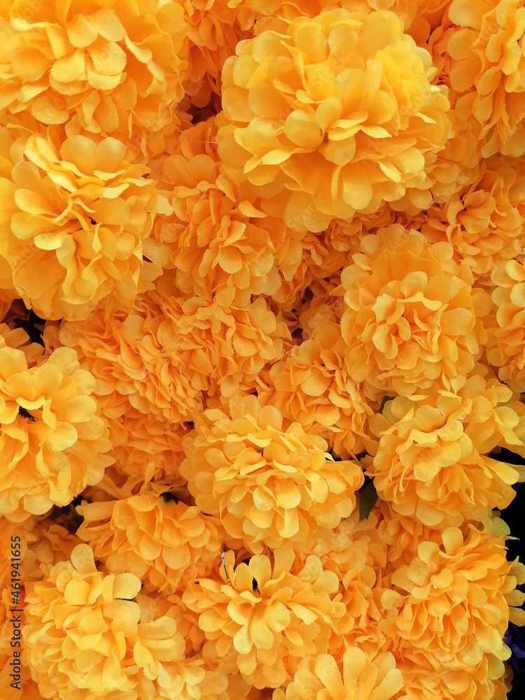 Fotografia do Stock: Flores artificiales de cempasúchil, de una planta  conocida como Damasquina, Tagetes erecta, llamada comúnmente tagete o  cempoalxóchitl, cempaxóchitl, cempoal es una especie de la familia  Asteraceae | Adobe Stock