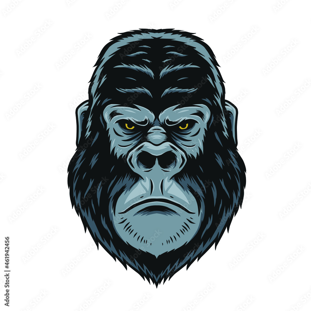 Gorilla head illustration Gorilla head illustration