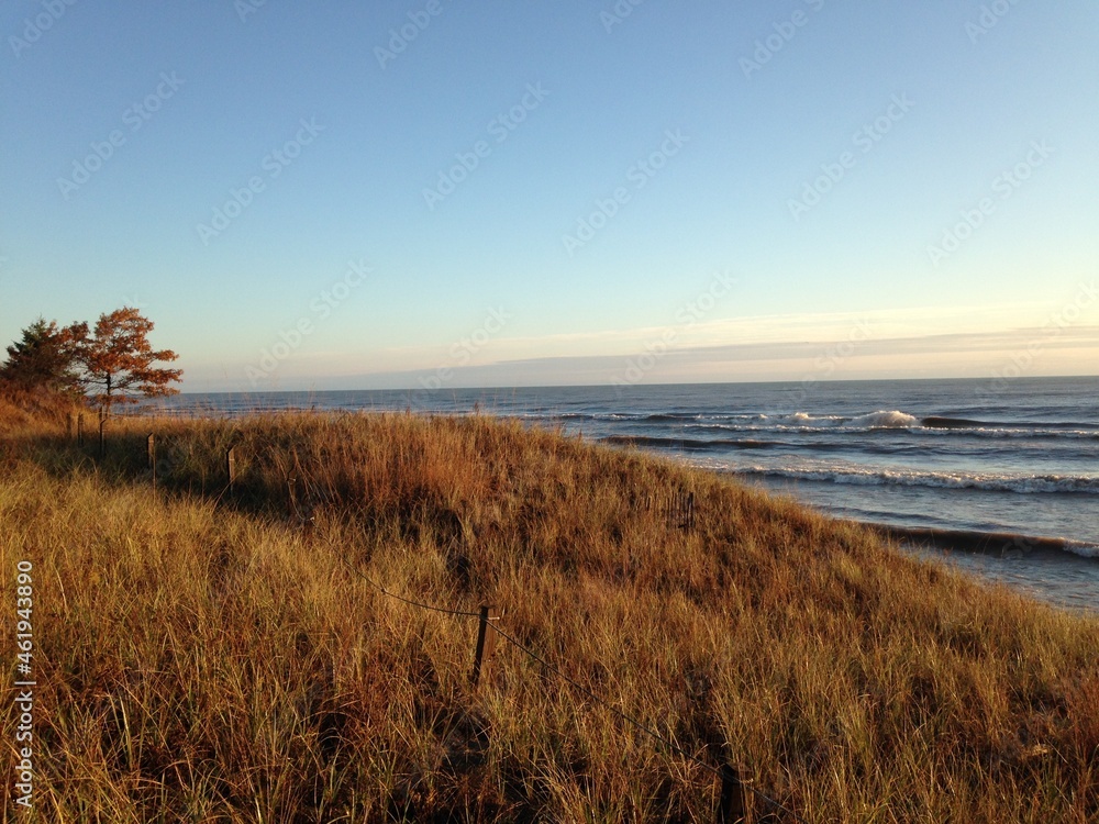 sunrise in a field along the coast sunrise in a field along the coast