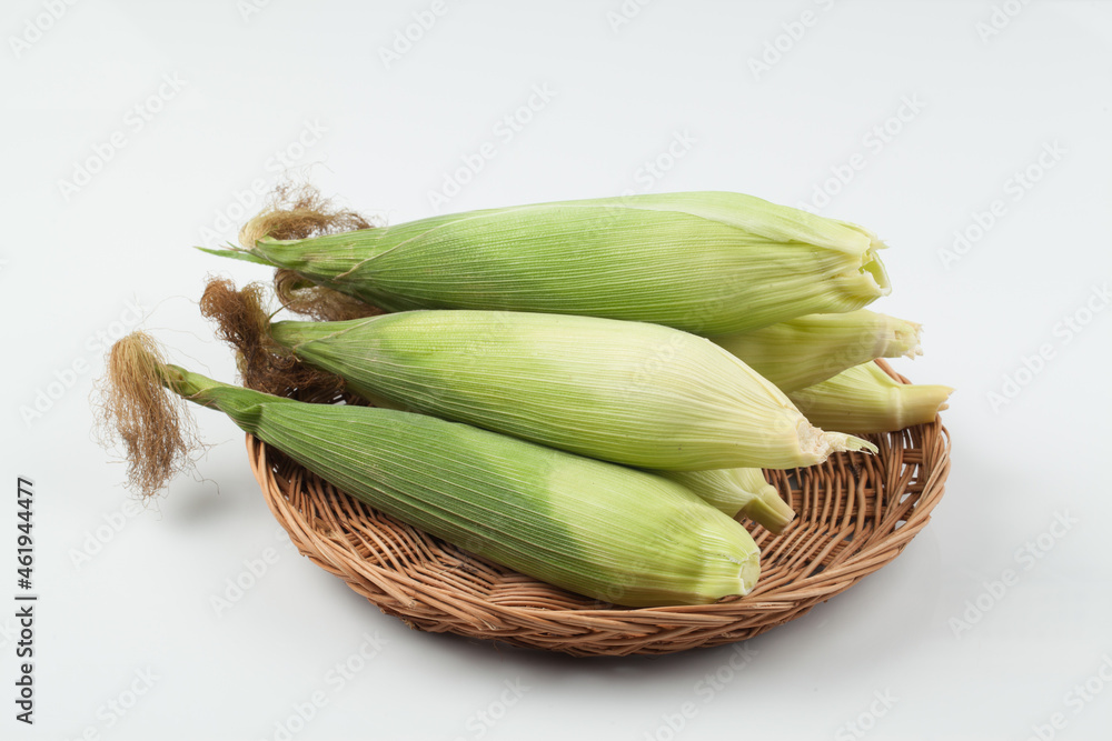 옥수수,여름,간신