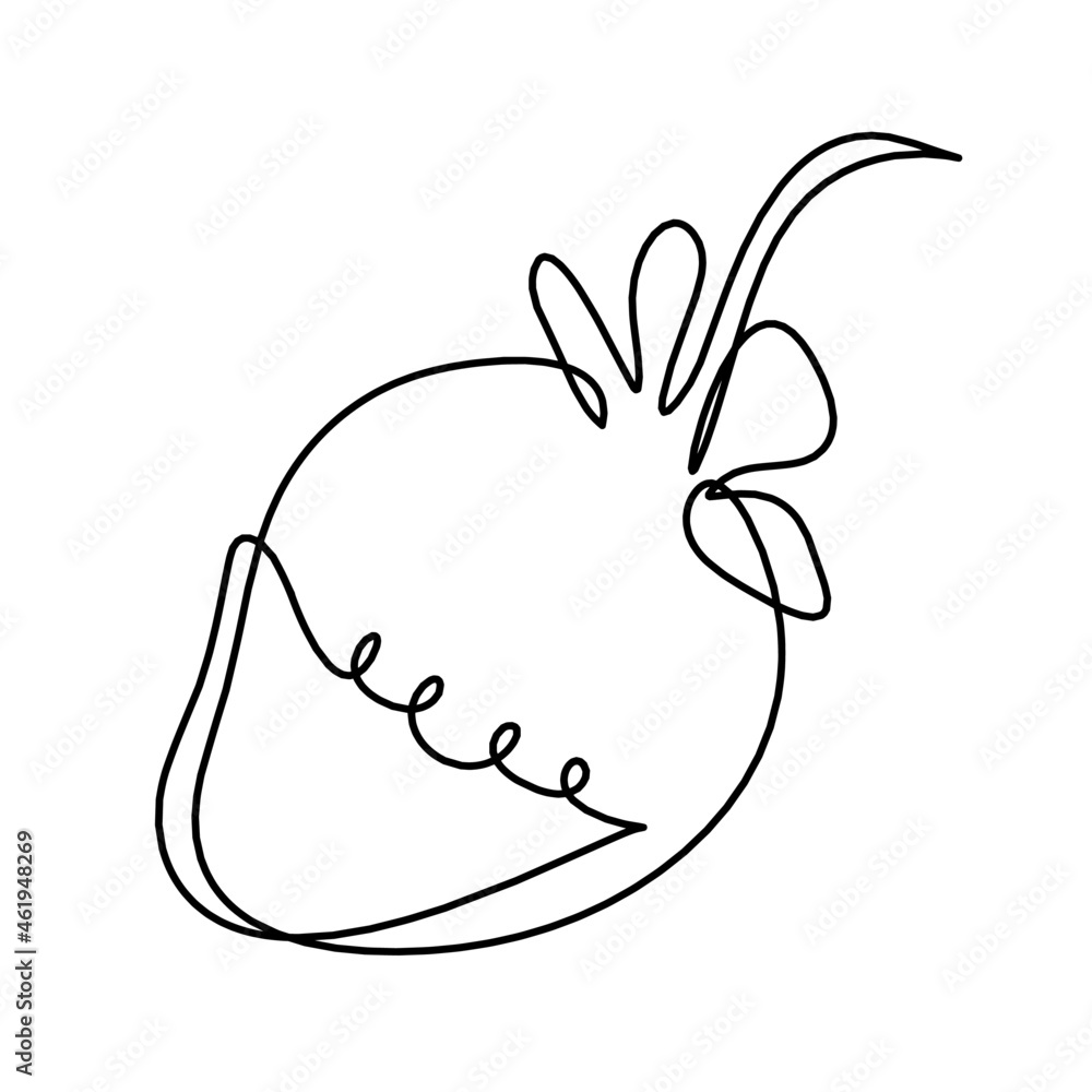 Drawing line strawberry on the white background. Vector Drawing line strawberry on the white background. Vector