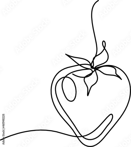 Drawing line strawberry on the white background. Vector
