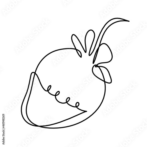 Drawing line strawberry on the white background. Vector