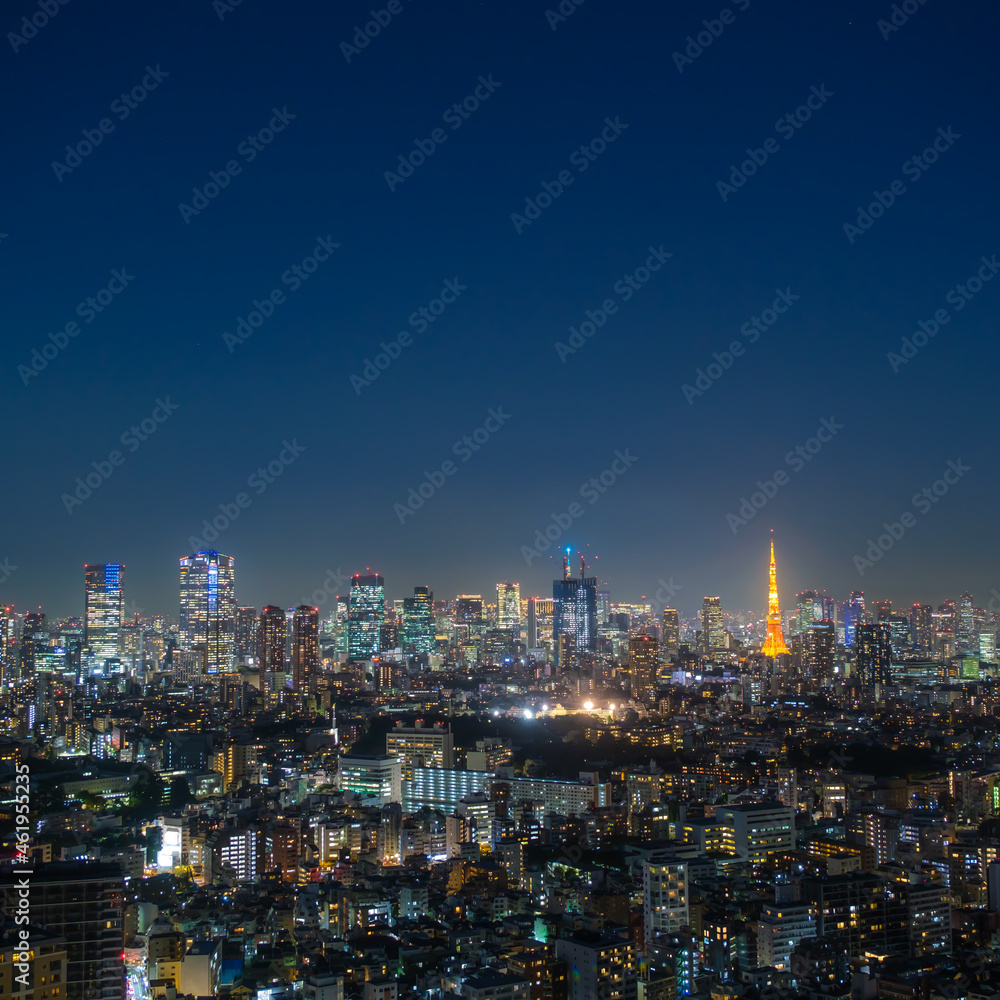 Fototapeta premium 東京の夜景