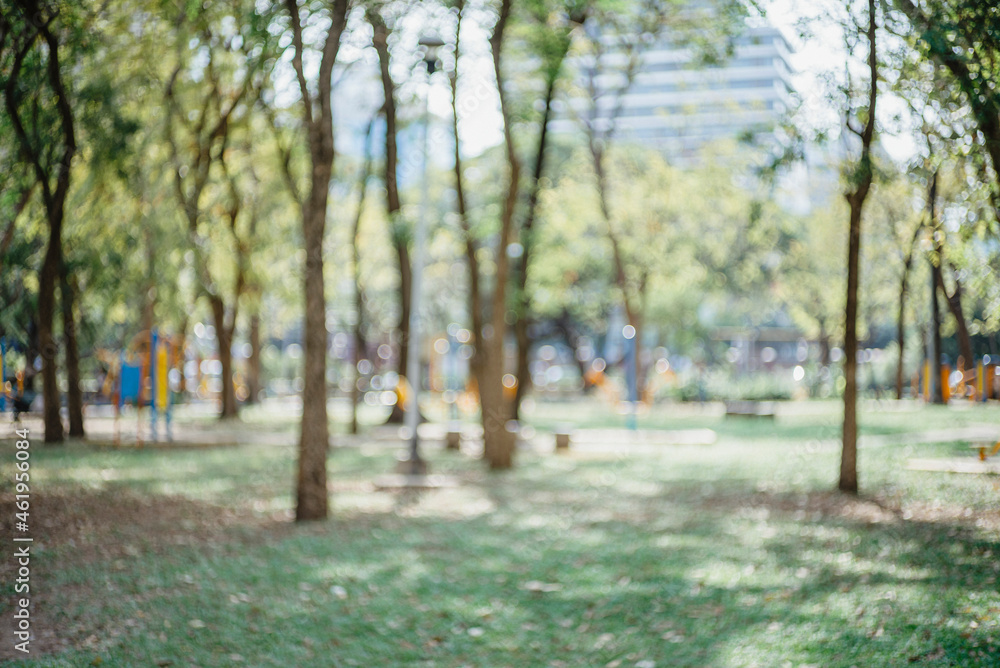 defocused bokeh background of garden trees