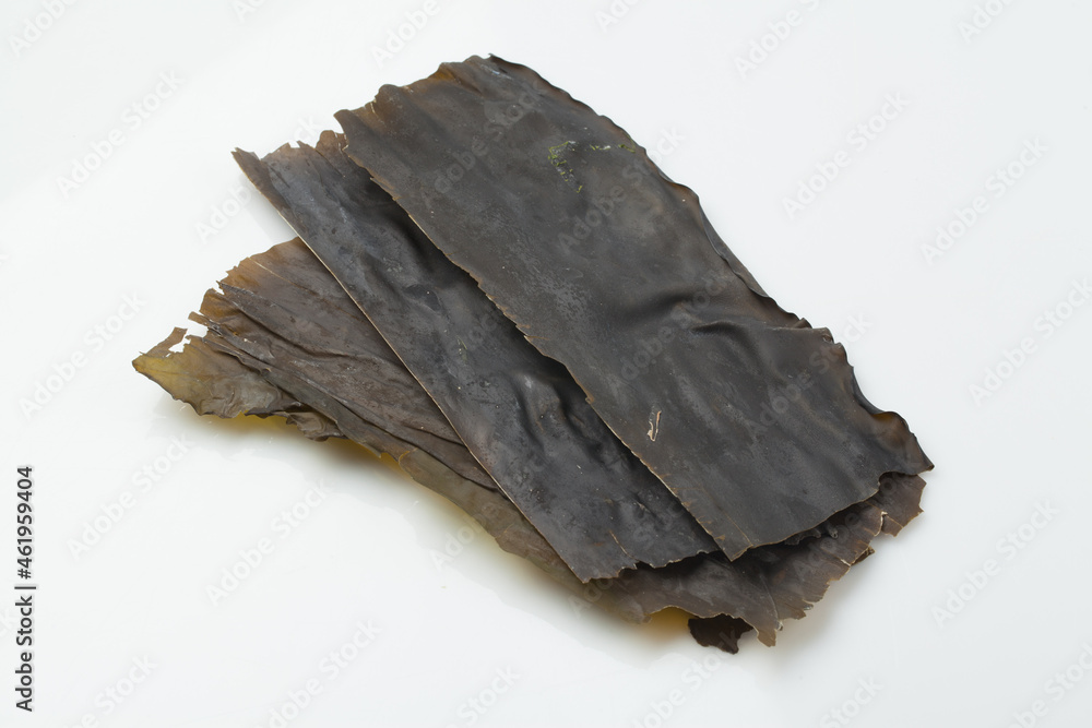 해산물,해조류,해초,고해상,누끼,다시마,묶음,사람없음,스튜디오,실내,음식,음식재료, 해산물,해조류,해초,고해상,누끼,다시마,묶음,사람없음,스튜디오,실내,음식,음식재료,