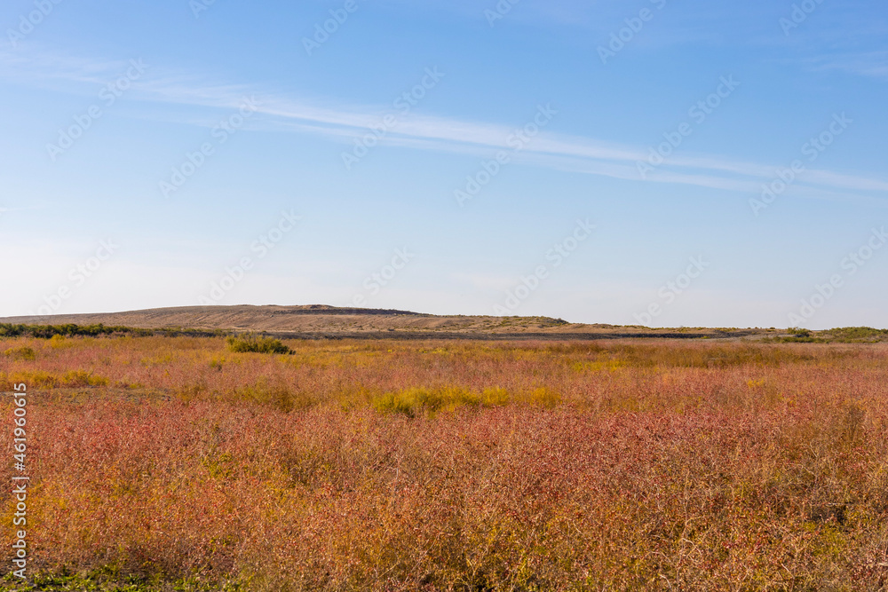 Field in an autumn day