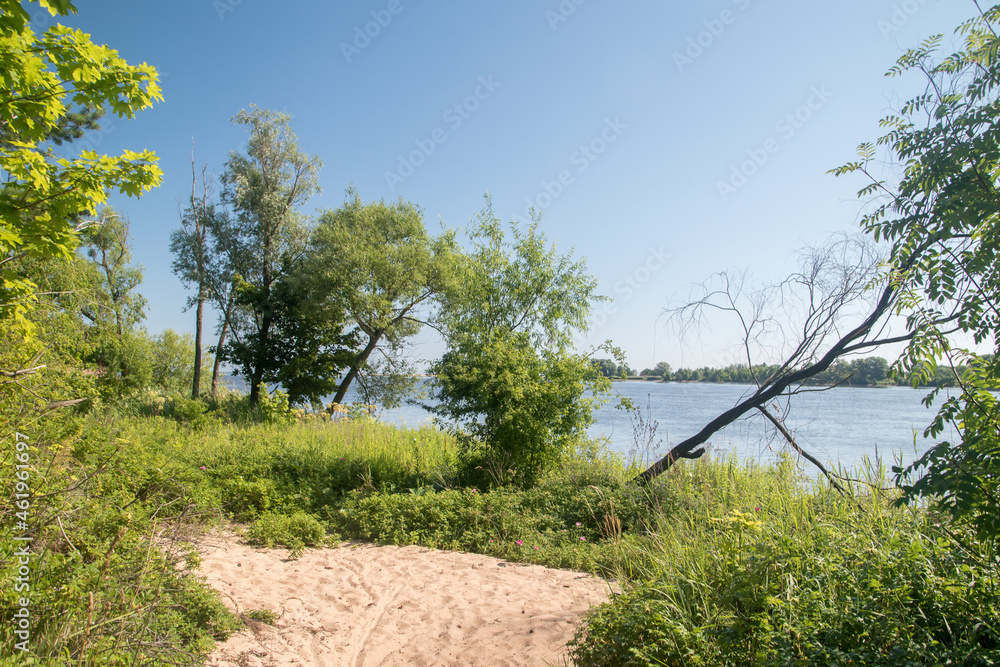 Trees on riverbank of Vistula river near estuary Vistula river to Baltic Sea at summer time. Trees on riverbank of Vistula river near estuary Vistula river to Baltic Sea at summer time.