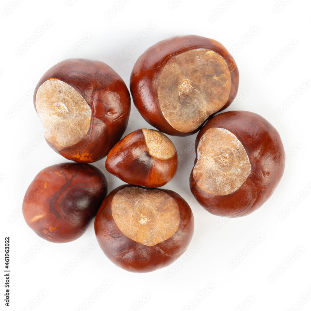 Horse chestnuts on white backgrounds. Horse chestnuts on white backgrounds.
