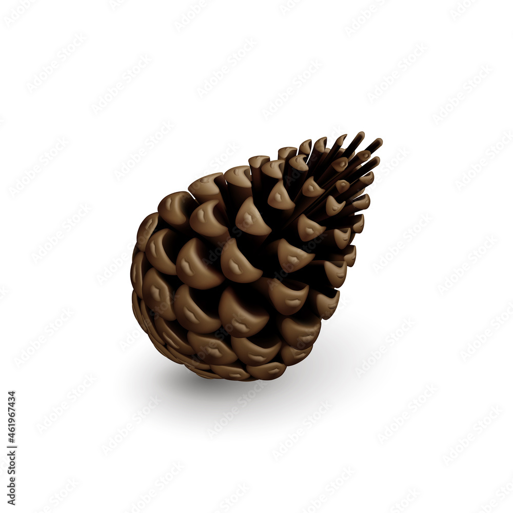 Brown Dry Pine Cone. Single Decorative Woody Fruit of a Conifer Tree. Christmas Decoration, Holiday Decorative Concept on White Background Brown Dry Pine Cone. Single Decorative Woody Fruit of a Conifer Tree. Christmas Decoration, Holiday Decorative Concept on White Background