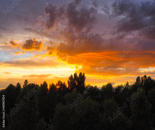 sunset over the forest