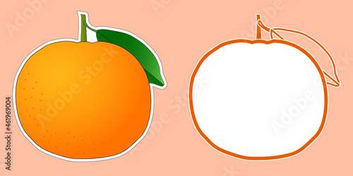 ポンカンのステッカーとポンカンの形のフレームのセット。