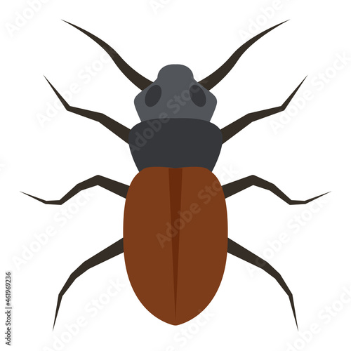 Flat color icon for beetle bug.