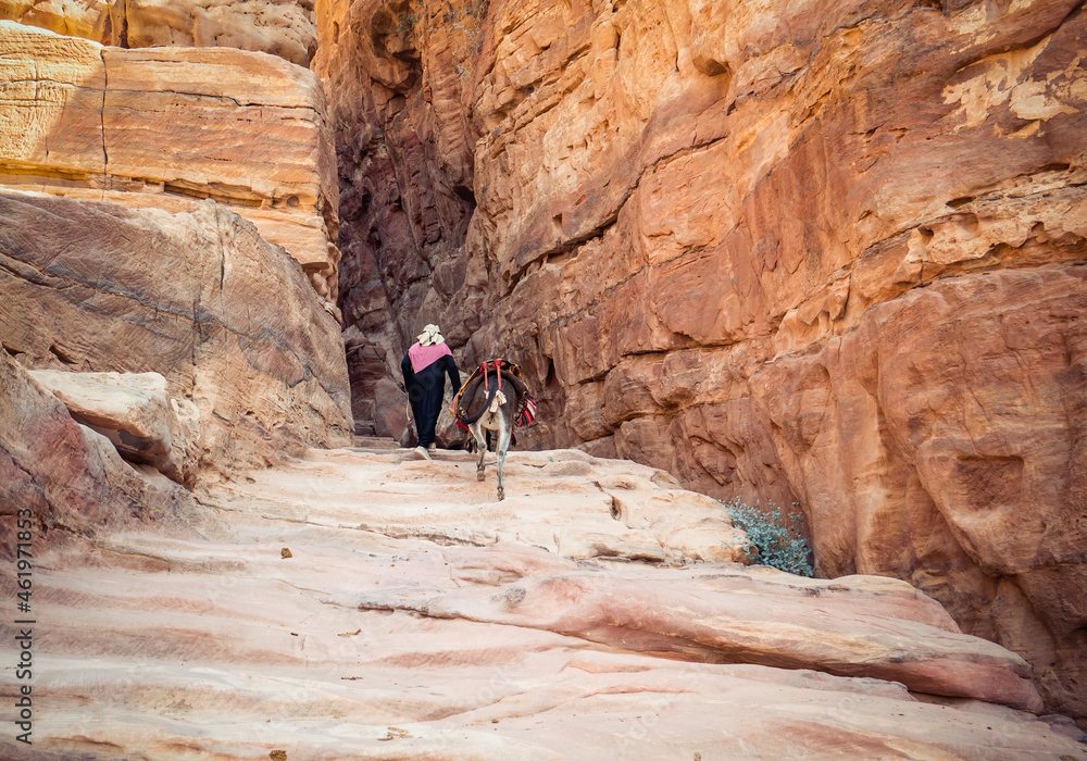 Arab woman riding a donkey on the Ed-Deir Trail (monastery trail) in the ancient city of Petra, Jordan.