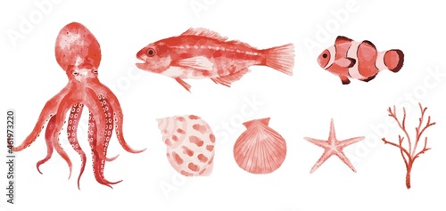 赤、ピンクでまとめた海のイメージ　水彩風イラスト