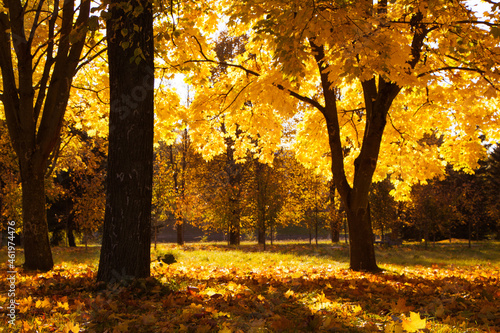 Beautiful Nature Autumn landscape