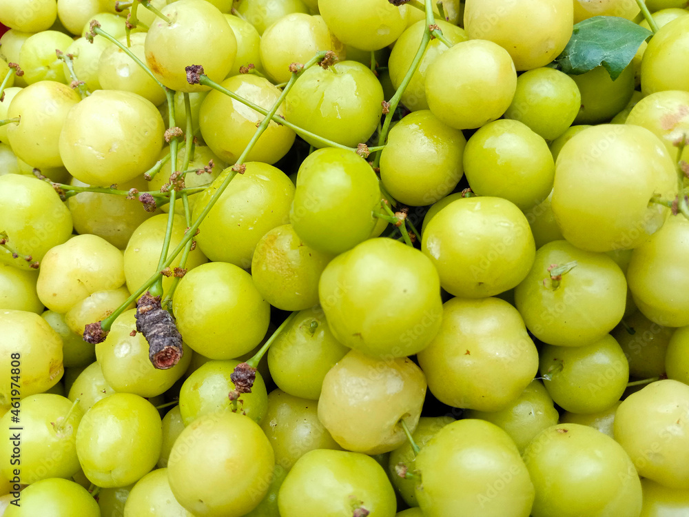 tasty and healthy star gooseberry stock on shop tasty and healthy star gooseberry stock on shop