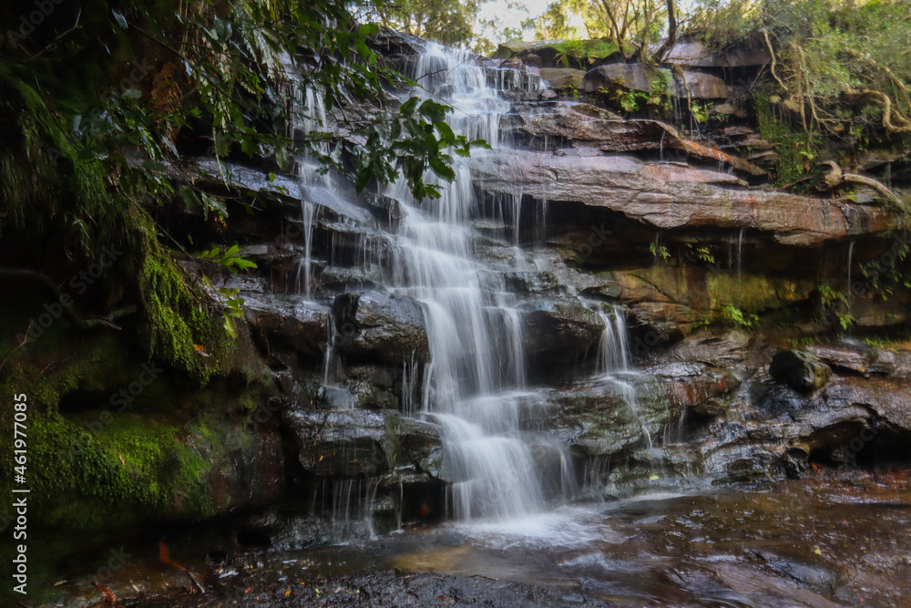 Obraz premium waterfall in the forest