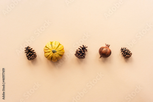 Minimal autumnal layout. Pine cones, pumpkin and dried pomegranate fruit on pastel orange background. Top view, flat lay