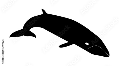 Hand drawn giant humpback whale element of wildlife and power. Marine inhabitant of sea and oceans for design. Mammal drawing in black ink. Aquatic symbol or diving logo. Vector isolated illustration