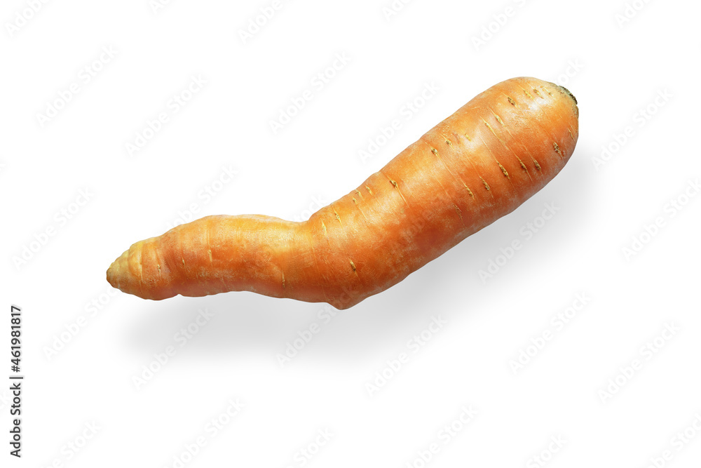 Fresh curved carrot isolated on white. Strange vegetables Fresh curved carrot isolated on white. Strange vegetables