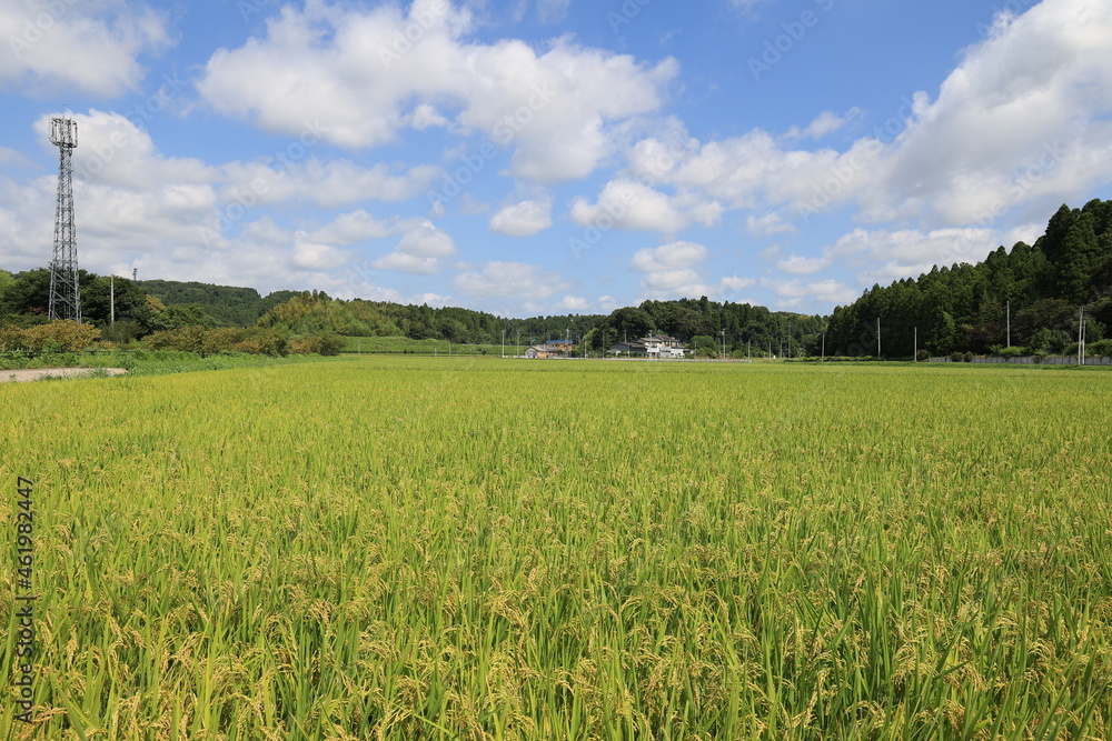 田園風景
