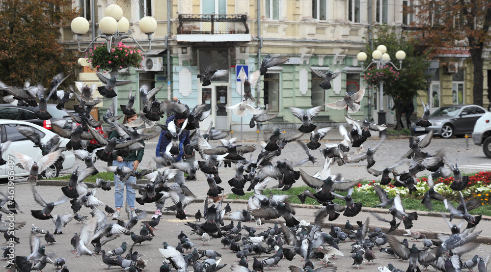 Man and  woman feed city pigeons. People among flock of flying birds on city street.