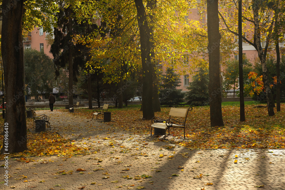 City autumn park in the sun with fallen leaves on a bench and an elderly man with a cane in the distance. Sunlight through the foliage. City autumn park in the sun with fallen leaves on a bench and an elderly man with a cane in the distance. Sunlight through the foliage.