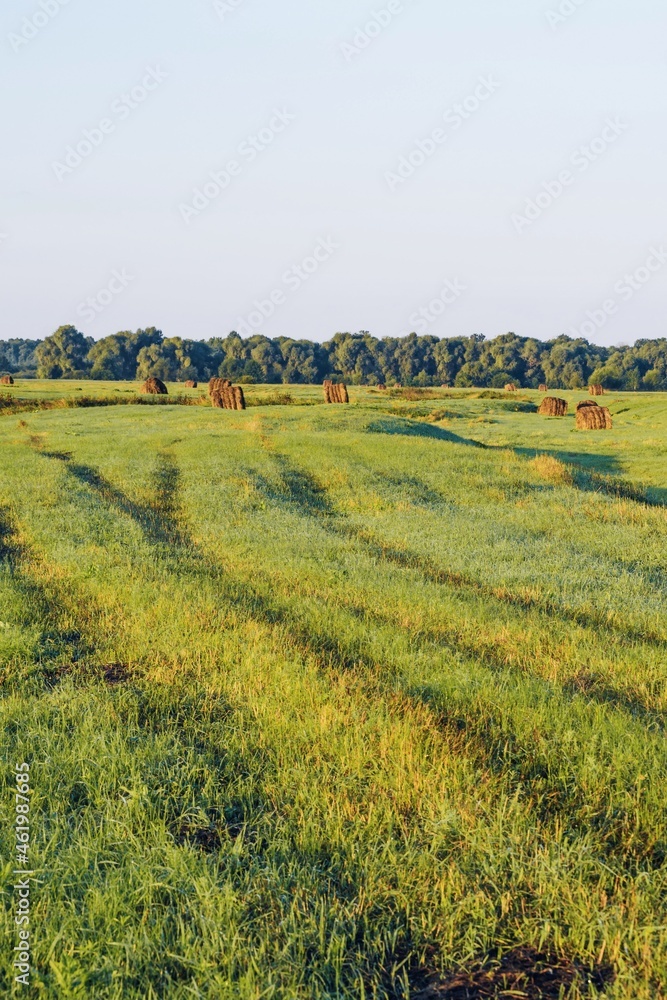 Hay Bales On Field Against Sky