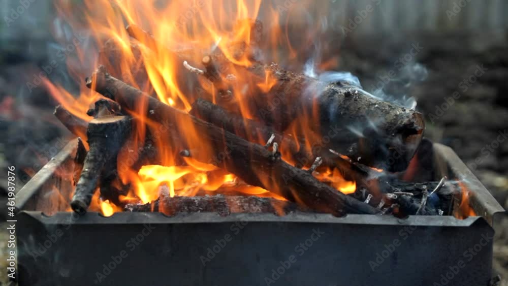 firewood is burning from fruit and berry trees in the grill for cooking barbecue 