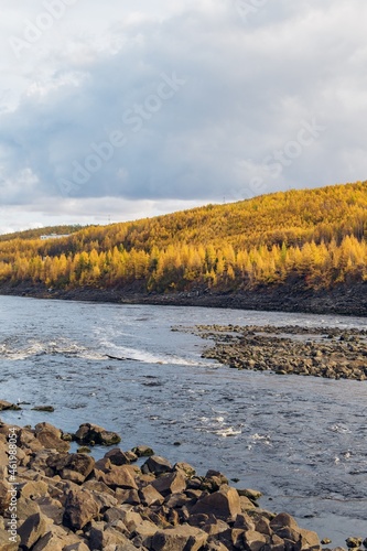 autumn forest landscape with river in highlands