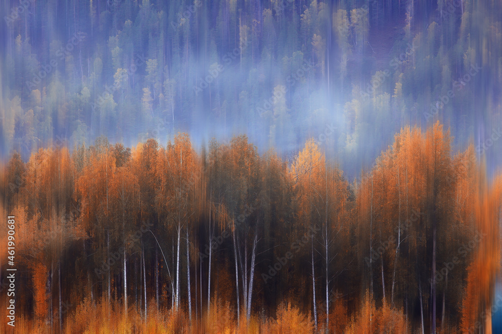 Fototapeta premium blurred background autumn nature landscape, abstract blur bokeh view of fall trees