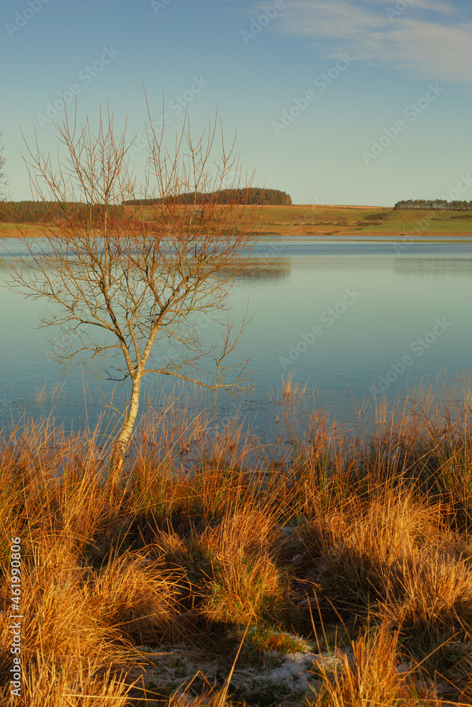Derwent reservoir, winter landscape. Derwent reservoir, winter landscape.