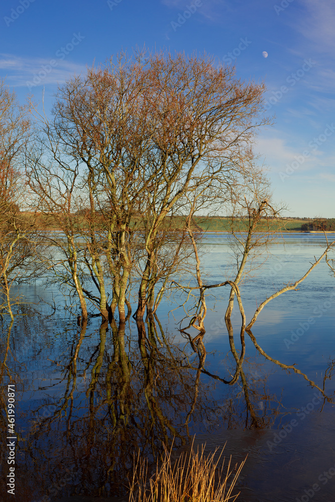 Derwent reservoir, winter landscape. Derwent reservoir, winter landscape.
