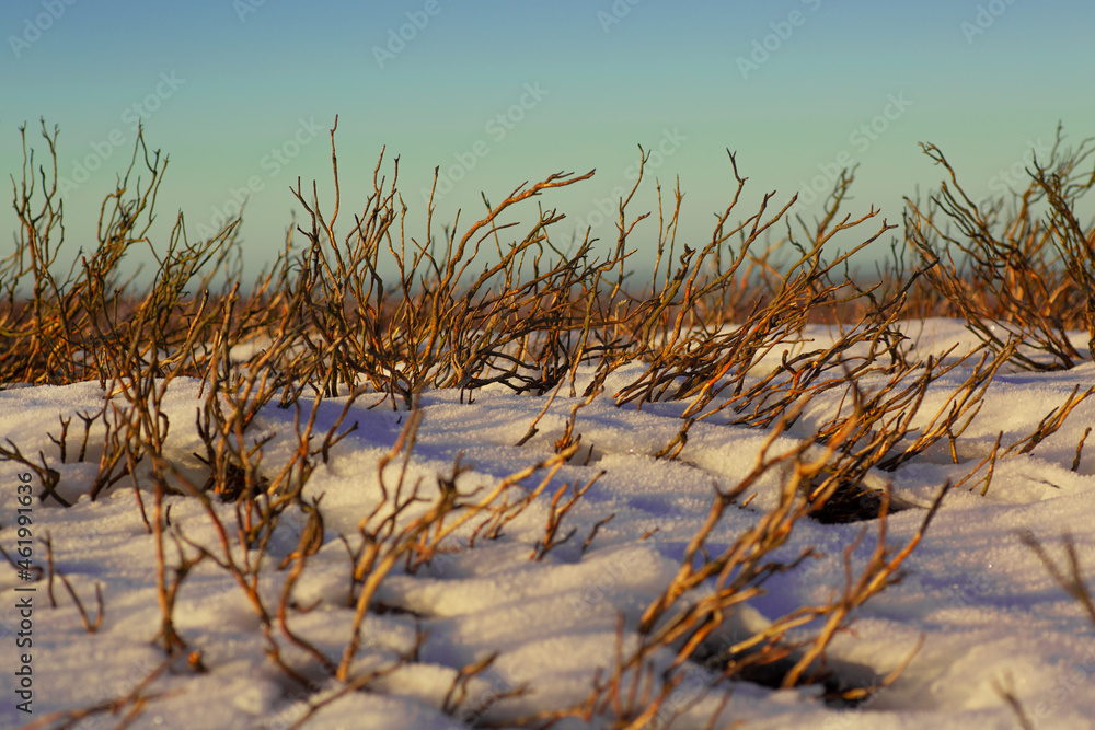 North Pennines winter landscapes North Pennines winter landscapes