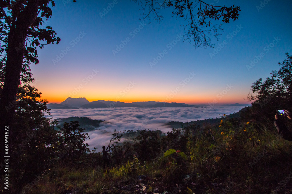 The fog and the first light of the day The fog and the first light of the day