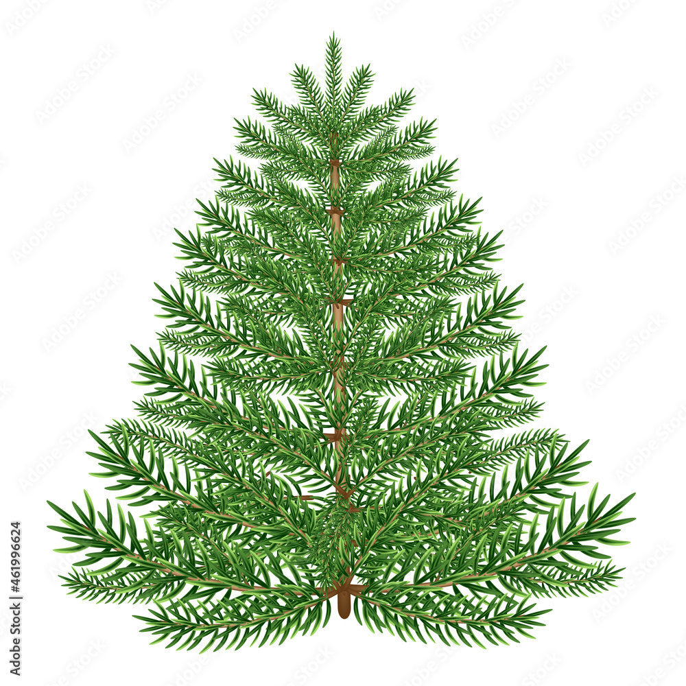 Illustration of pine tree in cartoon style isolated on white background. Design element for poster, banner, card, emblem.