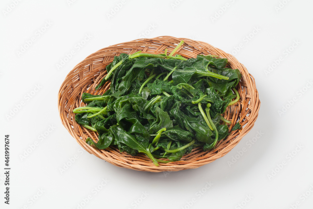 취나물,봄나물,건강,고해상,다수,두릅,사람없,음식물,신선,오브젝트,웰빙,조각보,채반,초록색,컨셉,하이앵글,화이트