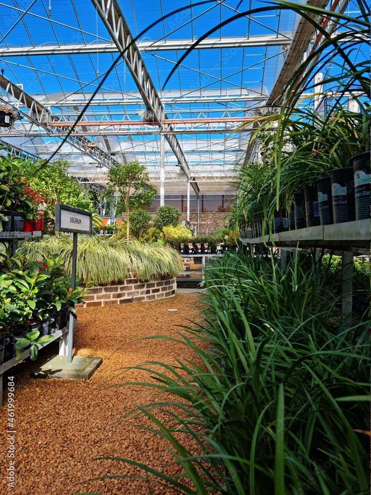 Greenhouse Walkway Greenhouse Walkway