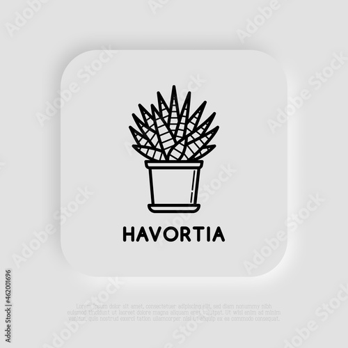 Succulent Haworthia in pot thin line icon. Modern vector illustration of house plant.