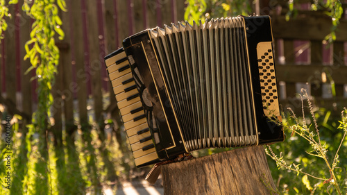 accordion on a wooden stump. musical instrument in nature