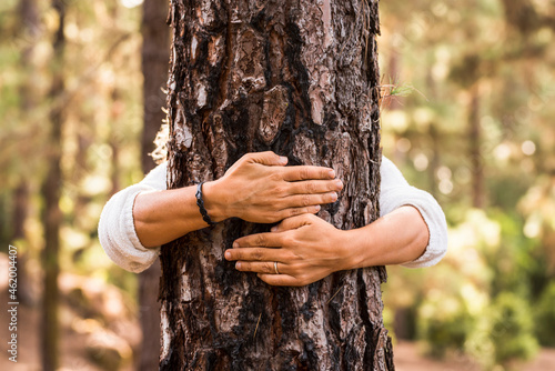 Fotografiet Close up of hands of woman hugging tree trunk in forest