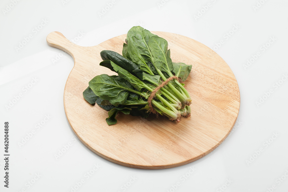 시금치,봄나물,뿌리,한약,한약재,건강,고해상,다수,두릅,사람없,음식물,신선,오브젝트,웰빙,조각보,채반,초록색,컨셉,하이앵글,화이트 시금치,봄나물,뿌리,한약,한약재,건강,고해상,다수,두릅,사람없,음식물,신선,오브젝트,웰빙,조각보,채반,초록색,컨셉,하이앵글,화이트