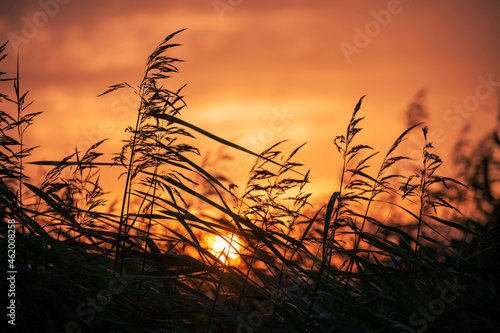 romantischer Sonnenuntergang