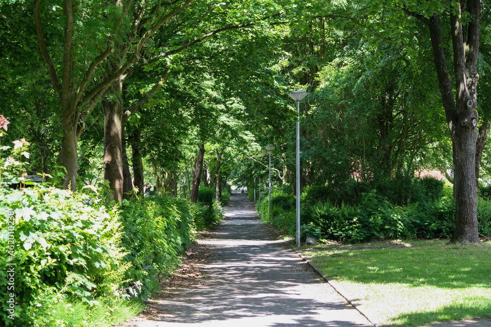 Perspective view of walkway with lamp posts in park with plants and trees foliage in sunny summer. No people.