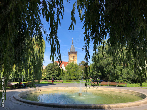 Photography City Hall through the weeping willows