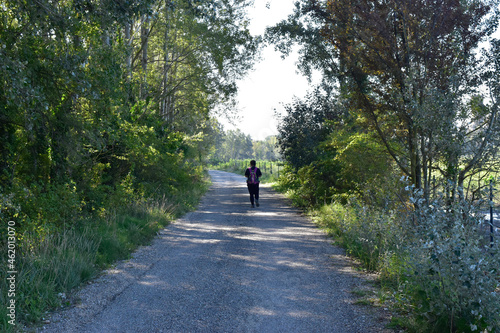 Wallpaper Mural walk in the park Torontodigital.ca